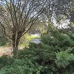Les Mercieres La Maison Campagne Grands Espaces Oasis De Nature, Convivialité, Détente 5 Piscine Chauffée Wifi Piano Billard Casa vacanze *